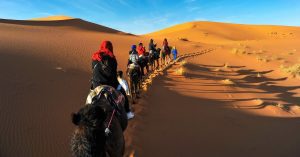 Best Desert Tour Marrakech To Fes 2 Days