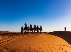 Desert Tour From Fez To Marrakech