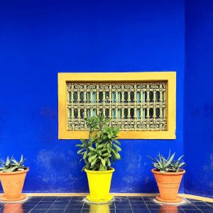 Jardin Majorelle - 7 Must-visit attractions in Marrakech